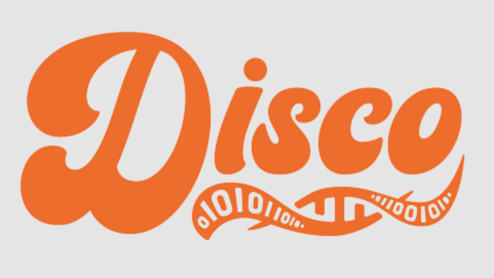 Logo of project https://disco-tech.eu